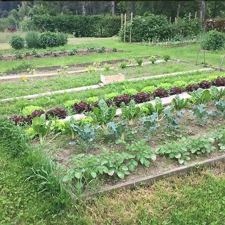 Les Fayettes Pensión Montregard